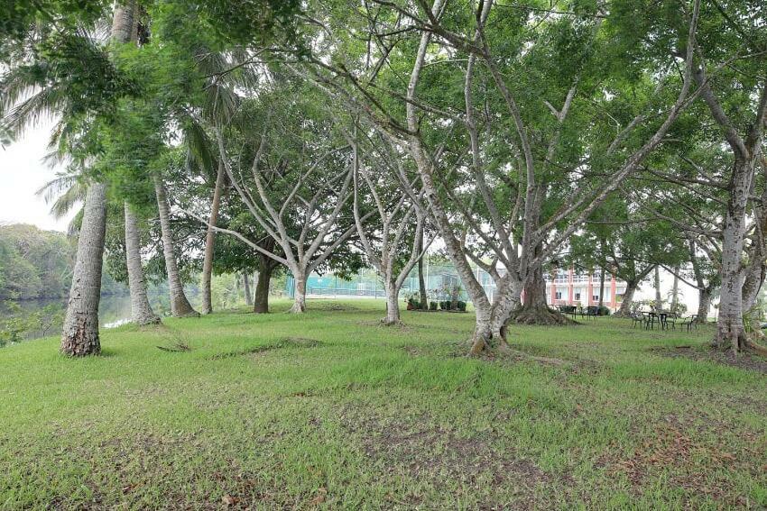 Hotel Plaza Palmas Tuxpan  Екстер'єр фото